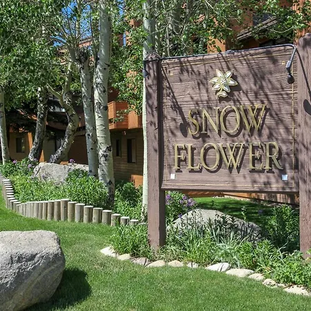 Snowflower #3 Condo